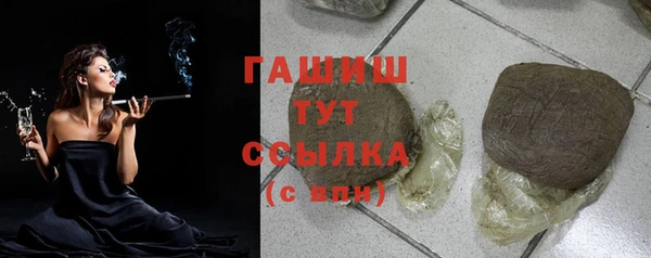 гидра Алексеевка