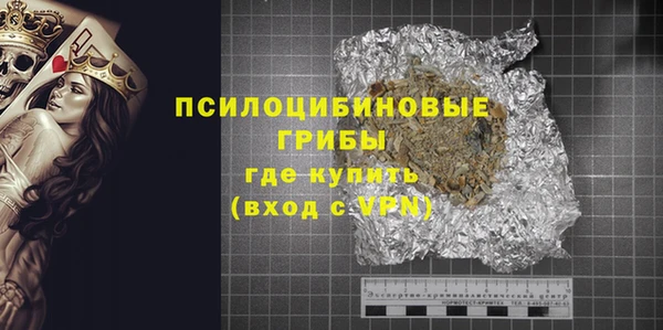 гидра Алексеевка