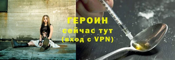 гидра Алексеевка